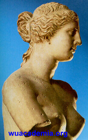 Aphrodite Venus de milos, musee du Louvre
